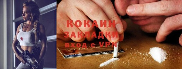 стаф Аркадак