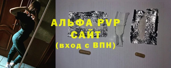 стаф Аркадак