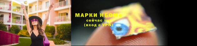 стаф Аркадак