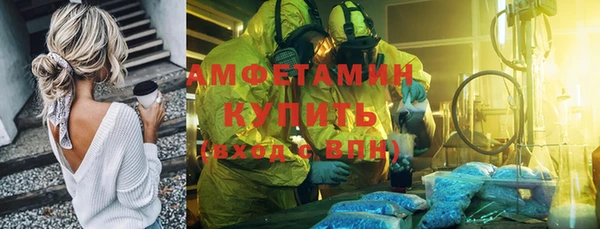 стаф Аркадак