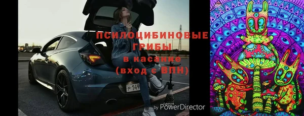 стаф Аркадак