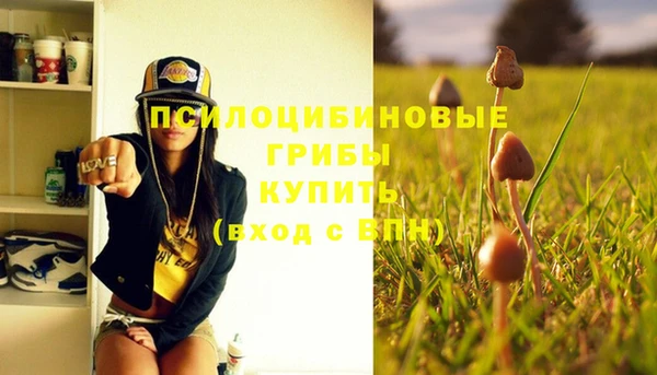 таблы Армянск