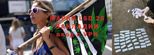 стаф Аркадак