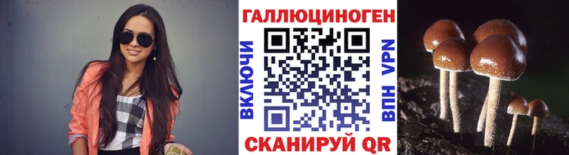 где можно купить   Муравленко  Галлюциногенные грибы Cubensis 